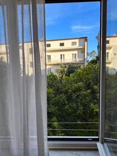 Mono Anfiteatro — foto 3
