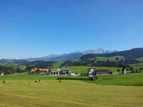 Hotel Garni Traube B&B — foto 3