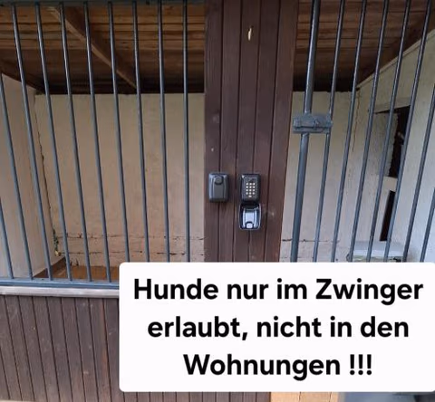 Ferienwohnung am Wald — photo 2