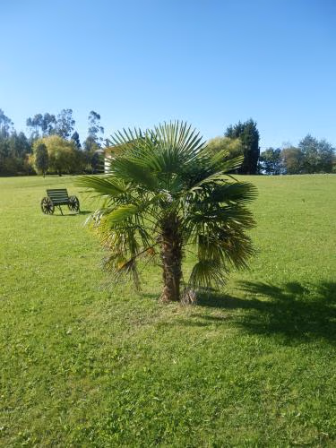 Hotel Matsa B&B — foto 2