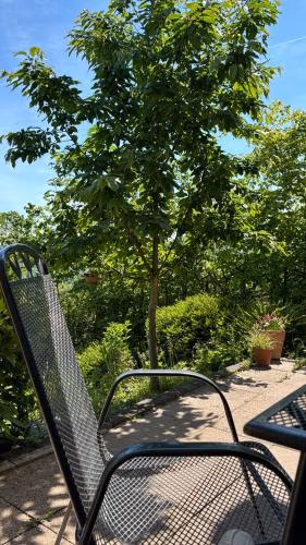 Ferienwohnung Pfalzblick — foto 8