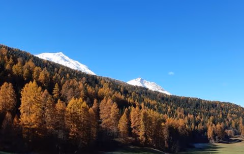 Fuldera Daint chasa Zanoli Whg im zweiten Stock — foto 6