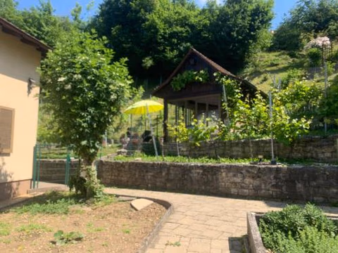 Bed n Breakfast Obermumpf — foto 4