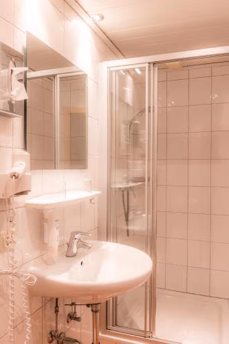 Gasthof Rebstock — foto 6