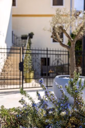 The House — foto 5
