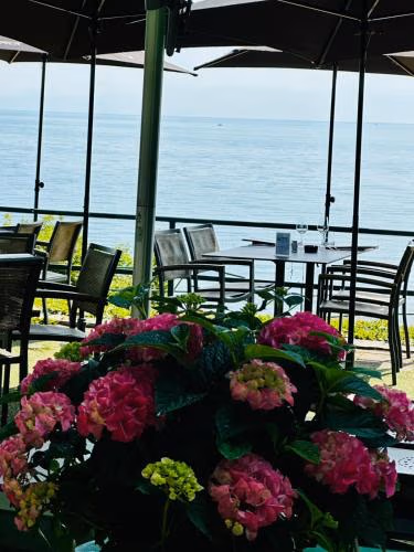 Hôtel de la Plage à Gland — foto 9