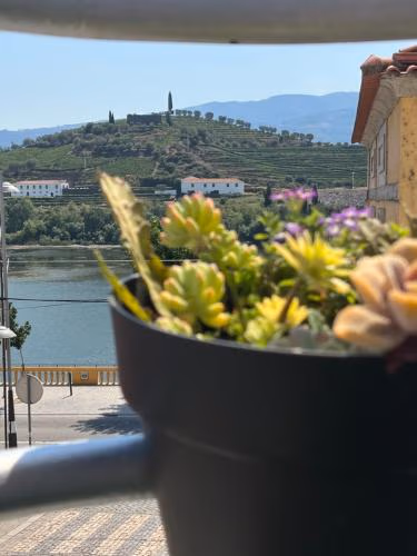 Alojamento Joaninha Douro 2 — foto 8