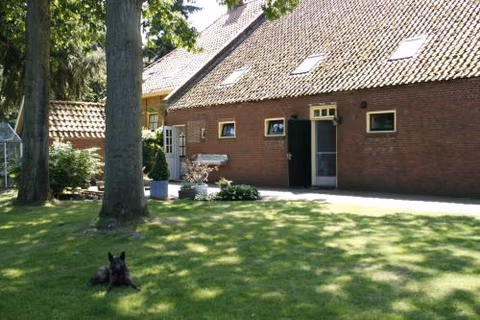 't Ossenschot — photo 7