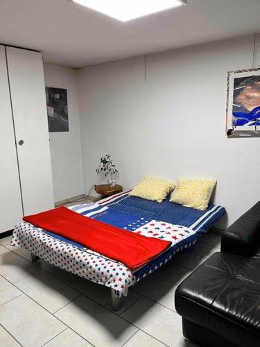 Basel - 5 mins away - Modern Basement Studio with Kitchen 35m2 in Muttenz — foto 2