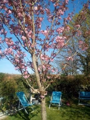 La Maisonnette - animaux acceptés, parking privé, jardin plein sud — foto 2