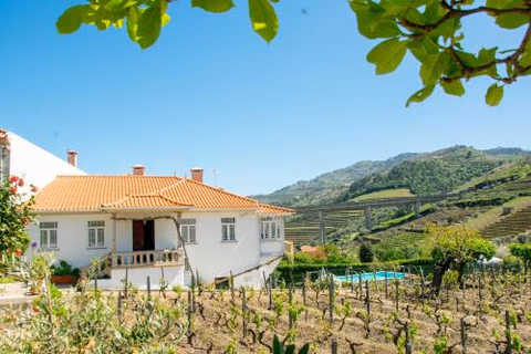 Cosy Historical House in Lamego - Quinta do Cabo — foto 1