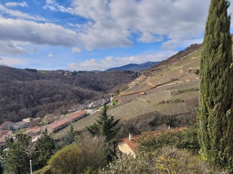 Wine Passion Panoramic — foto 7