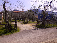 La Nuova Selvaiana — foto 1