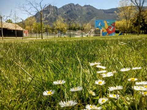 Camping Iratxe — foto 6