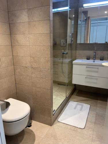 Central Charm Apartment, Geneva City Center — foto 2