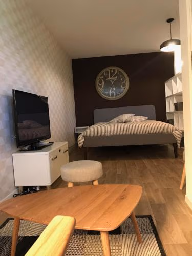 Large Studio Near Epfl And Lausanne City Center — foto 6