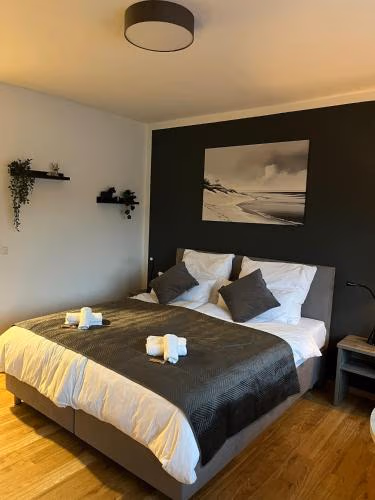 Rheinpanorama Suite mit Balkon — foto 4