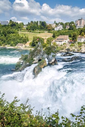 Mehrere Ferienwohnungen in Top Lage in der Nähe eines Rhein-Strandbads — foto 2