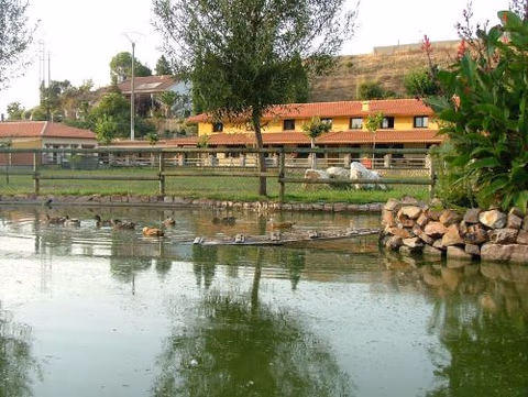 La Noria — foto 4