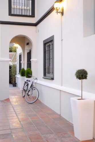 Hotel Domus — foto 5