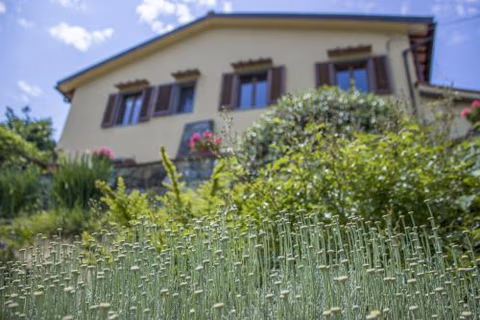 Villa Porcigliano Olive Grove — foto 3