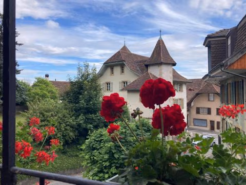 La Vigne — foto 2
