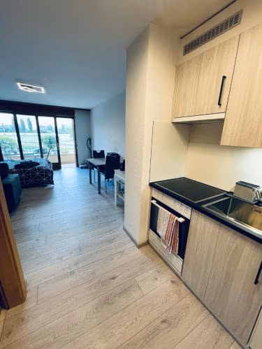 Studio de vacances aux Bains de Saillon — foto 4