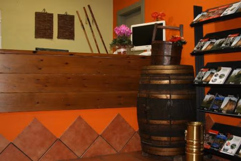 Hostal Acella — foto 6