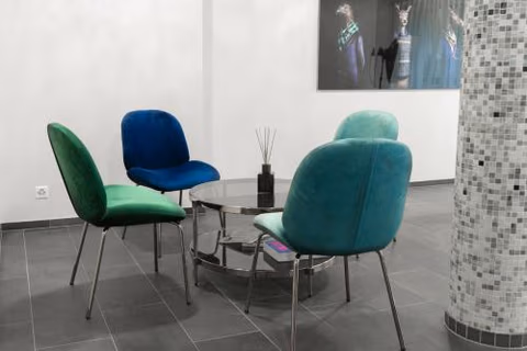 Hotel Birsighof Basel City Center — foto 6