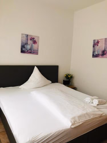Hotel im Brühler Hof — foto 7