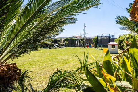 Agriturismo Giorgi appartamenti in Riviera Ligure — foto 6