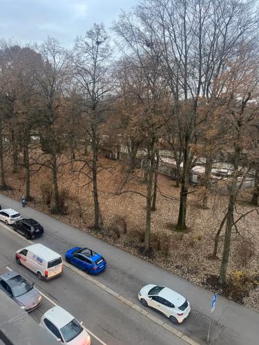 Schlossteich Number one — foto 3