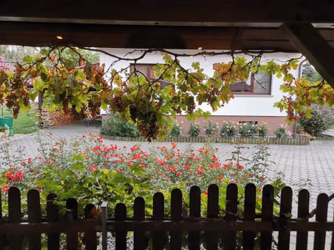 Ferienhaus Rosenhof — foto 8