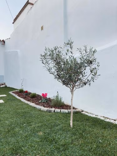 Casa D'Avó Bá — photo 3