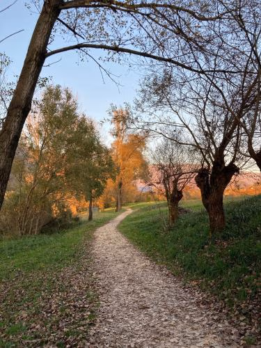 CASA DEL NONNO LEONE — photo 4