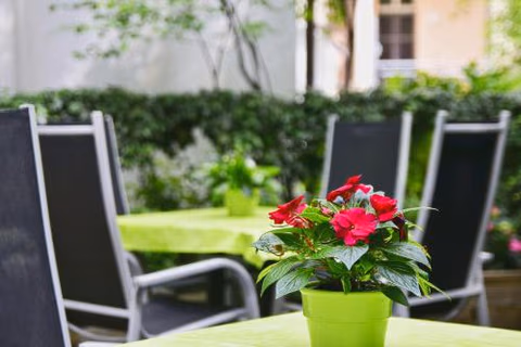 Garden Hotel — foto 6