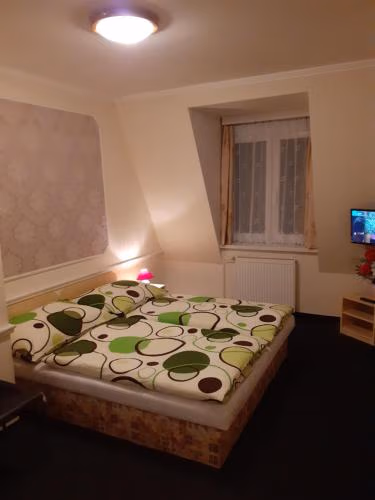 Pension Velický Zámoček — photo 2