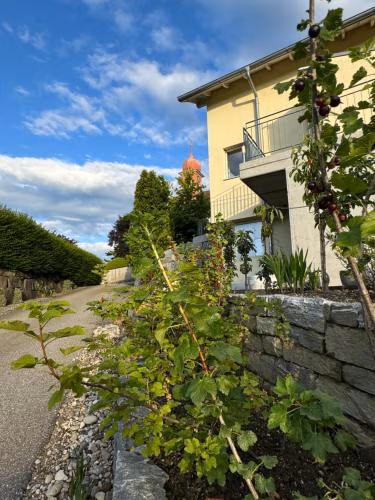 Villa Modern — foto 2