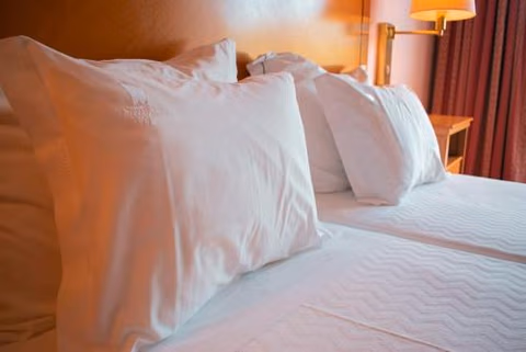 Hotel Regua Douro — photo 4