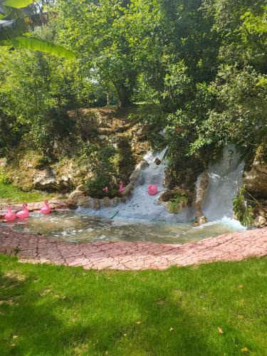 PENSION ALFOZ de RONDIELLA — foto 6