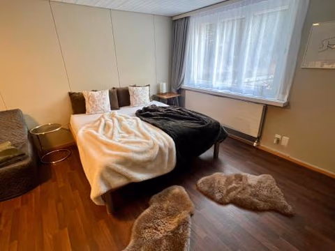 Studio Apartment Göschenen — foto 6