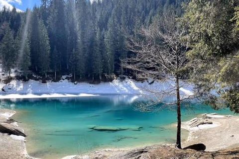 Swiss chalet near Flims — foto 8