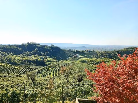 Relax nelle colline del Prosecco — foto 4