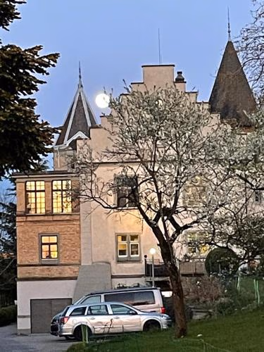 Schloss Brunnegg — foto 4