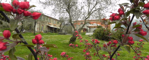B&B Il Giardino delle Esperidi — foto 1