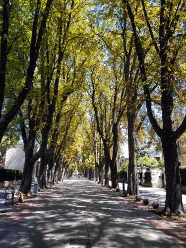 HABITAKA, Hogares de paso — photo 6