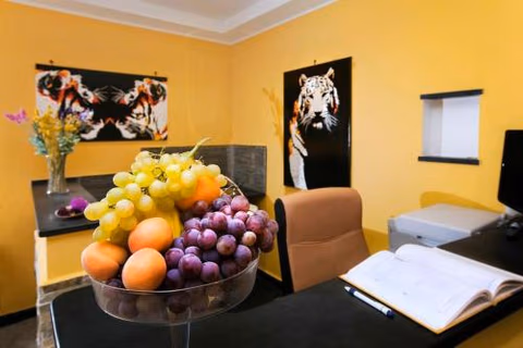 Hotel Paradiso — foto 7