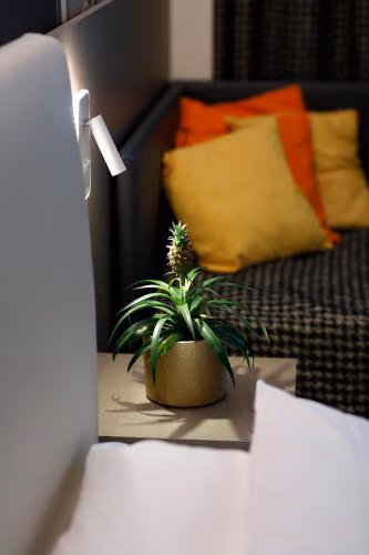 The Sydney Hotel — photo 8
