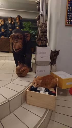 Wein-Hotel Auberge Mistral — foto 9