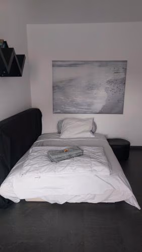 Sweet home avec vue incroyable lac leman proche lausanne — foto 2